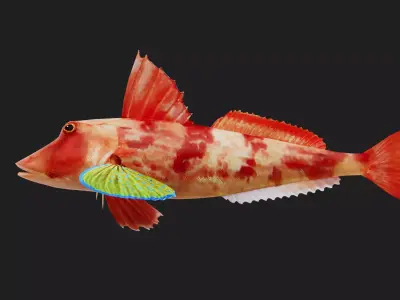 Bass fish Low-poly 3D model