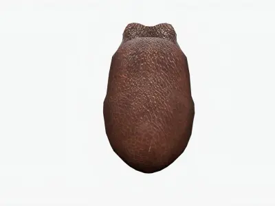 lowpoly rigged octopus rigged Low-poly 3D model