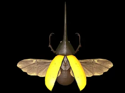 Hercules Beetle Low-poly 3D model