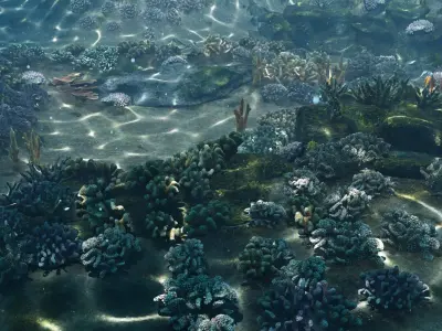 Underwater Coral Reef Habitat Ocean V3 Low-poly 3D model