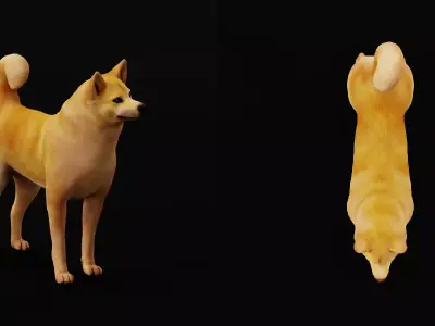 Finnish Spitz Dog Free low-poly 3D model