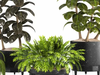 Indoor Plants in Ferm Living Bau Pot Large - Set027 3D model