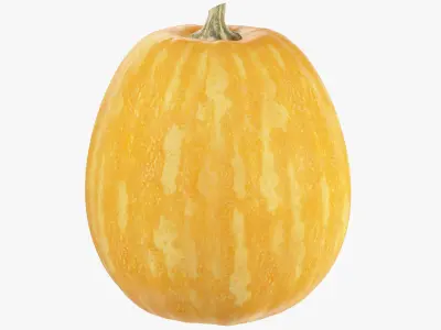 Pumpkin V4 3D model