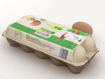 Egg Carton 001 3D model
