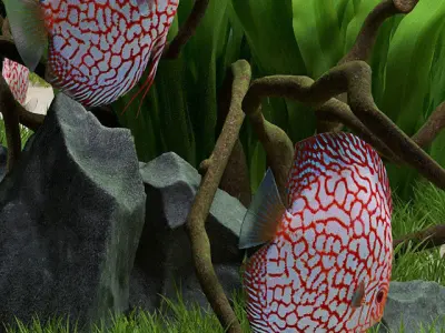 Aquarium fish tank with plants in it 3D model