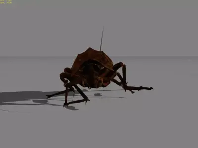Roach Animal Low-poly 3D model