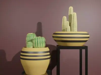 Indoor plant cactus Free low-poly 3D model