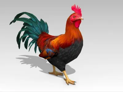 Rooster Low-poly 3D model