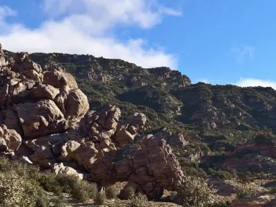 2020 XfrogPlants Africa Library  3D model