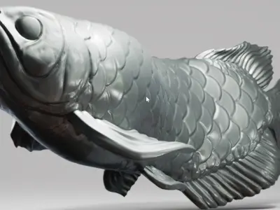 Arowana silver fish swimming in water Free 3D print model