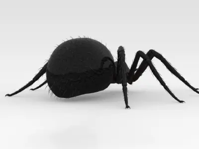 Giant Spider 3D model