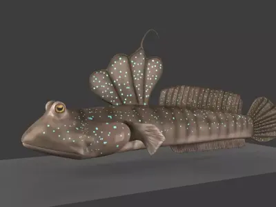 Mud Skipper 3D model