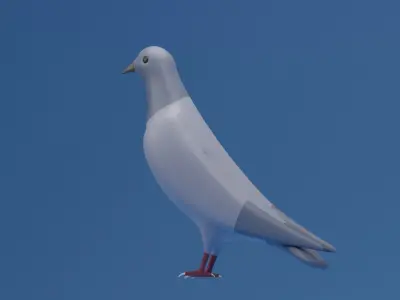 Cartoon Cute Pigeon Dove Low-poly 3D model