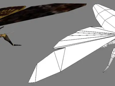 Low-Poly Hand-Painted Death Head HawkMoth Low-poly 3D model