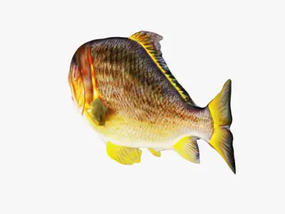 Piranha Free 3D model
