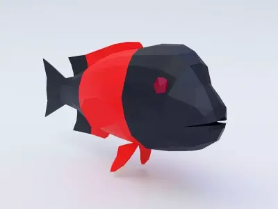 California sheep head fish 3d model  Low-poly 3D model