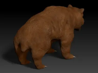 Grizzly Bear Low-poly 3D model