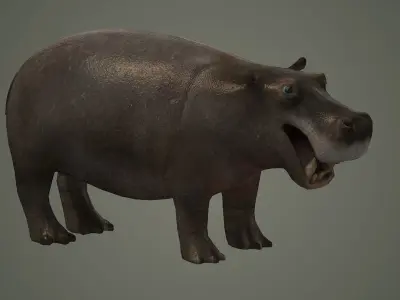 hippopotamus african animal mammal wild hipopotamo 3D model
