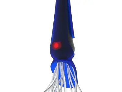 giant squid 3D model purchase