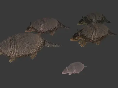 Pampatherium armadillo Low-poly 3D model