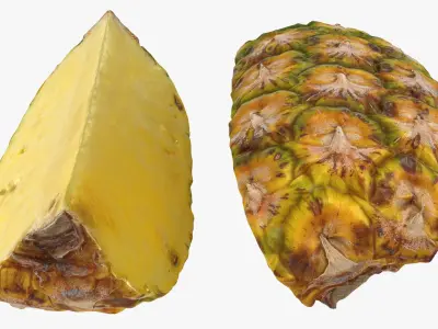 Pineapple Slice 3D model