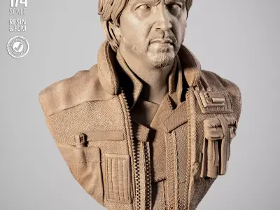 STAR WARS CassIan Andor Portrait Bust 3D 3D print model