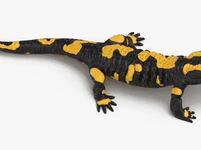 Salamander Standing 3D model