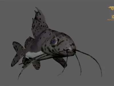 Animated Cat Fish - Loop Animation with 1160 Frames Low-poly 3D model