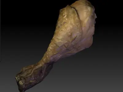 Chicken Drumstick 3D model