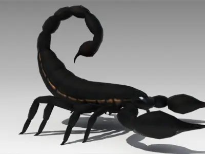 Black Scorpion Low-poly 3D model