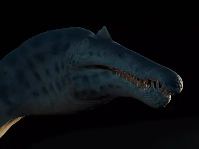 Spinosaurus Aegyptiacus-Low Poly-Rigged Low-poly 3D model