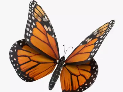 Flying Monarch Butterfly 3D model