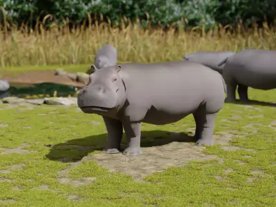 Hippo hippopotamus Low-poly 3D model