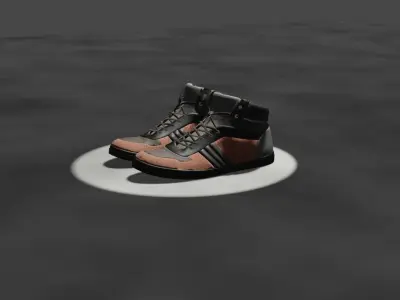shoes 3D model