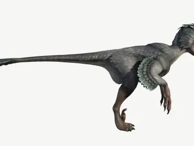 Deinonychus dinosaur Low-poly 3D model