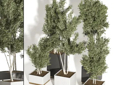 indoor plant vol 28 3D model
