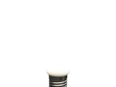  Globe Opaque Light Bulb Model 