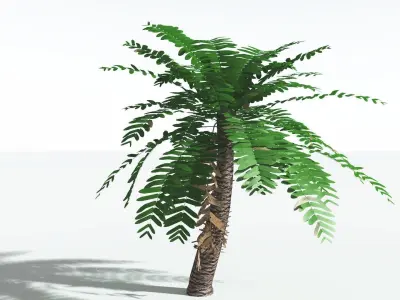 EVERYPlant Pseudoctnis Cycad LowPoly 3 --12 Models-- Low-poly 3D model