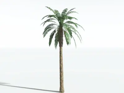 EVERYPlant Date Palm 4 --16 Models-- 3D model