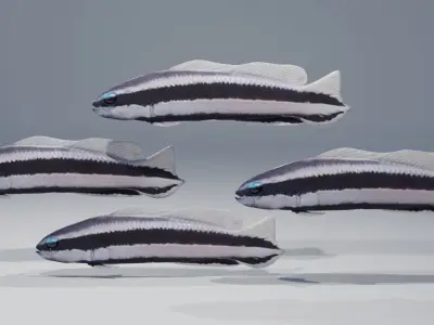 Striped Dottyback Fish Free 3D model