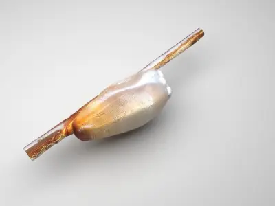 Head Louse Nit 3D model