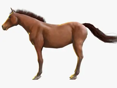 Horse Textured Low-poly 3D model
