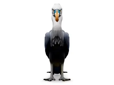 Realistic Shoebill Stork 3D Model Low-poly 3D model