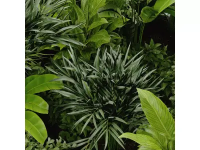 Collection plant vol 394 blender model Free 3D model