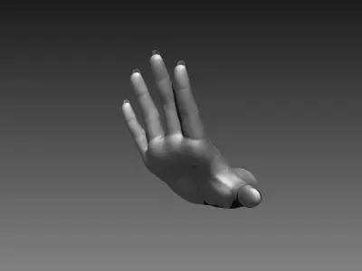 12 Female Hands 3D model