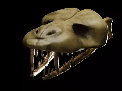 SNEAK SKULL Low-poly 3D model