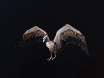 low-poly animated vulture Low-poly 3D model