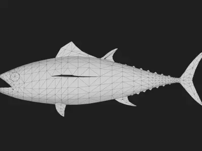 Tuna fish Low-poly 3D model