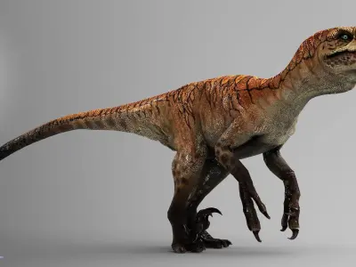 THE ULTIMATE RAPTOR Low-poly 3D model