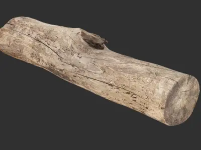 A length of wood 3d scan in highpoly 3D model
